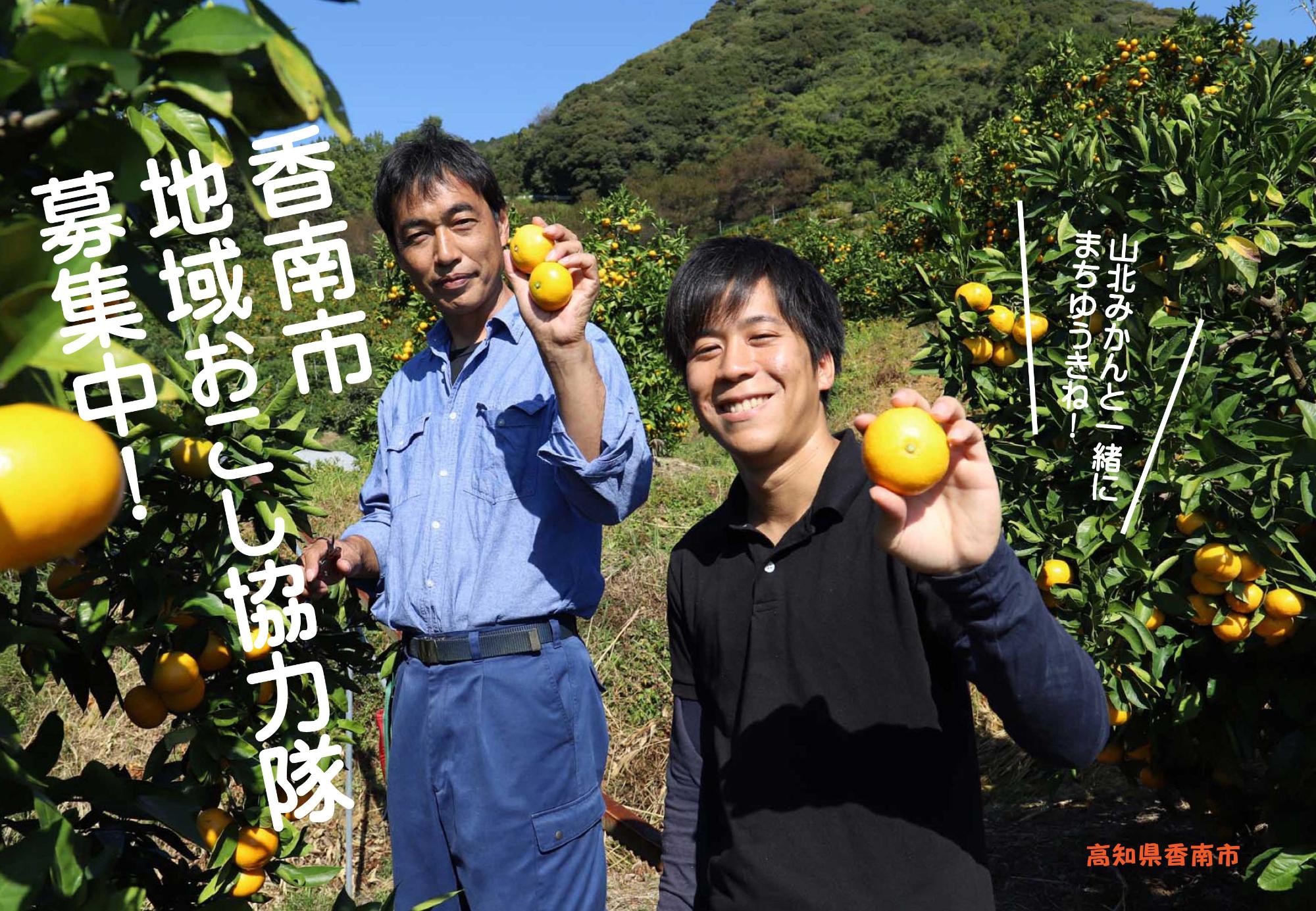 みかんの画像