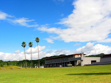 青空の下、広々とした草原の遠くにヤ・シィパークの建物が写っている写真。その建物の隣には大きな木が3本並んでいる。