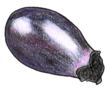 白色の背景に紺青色のへたをつけた紫色のなす1個を描いた画像