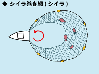 シイラ巻き網のイメージイラスト