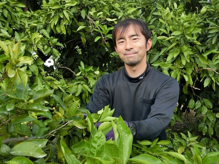 みかんの木に囲まれて笑顔で立っている阿部良太さんの写真