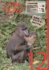 広報こうなんNOW12月号表紙