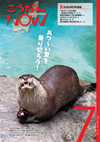 広報こうなんNOW7月号表紙