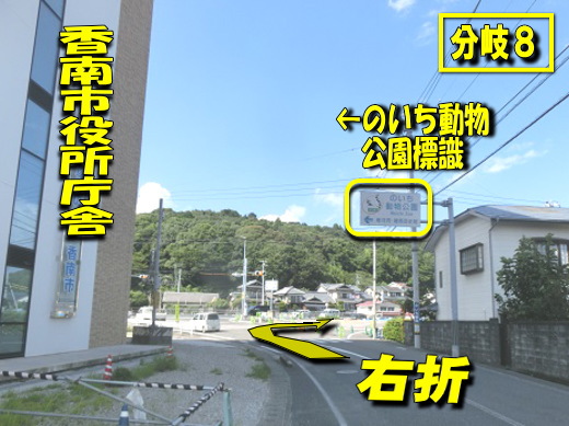 道路左側に香南市役所があり、右側にはのいち動物公園と書かれている白い標識がある分岐8の写真