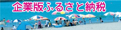 企業版ふるさと納税