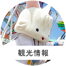 観光情報