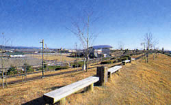 青い空と芝生の上にベンチが並んでいる親水パークの写真