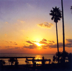 夕日でオレンジ色に染まった空とヤシの木が見える海辺の写真