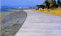 砂浜の横を通るボードウォークとその先に広がる海の写真