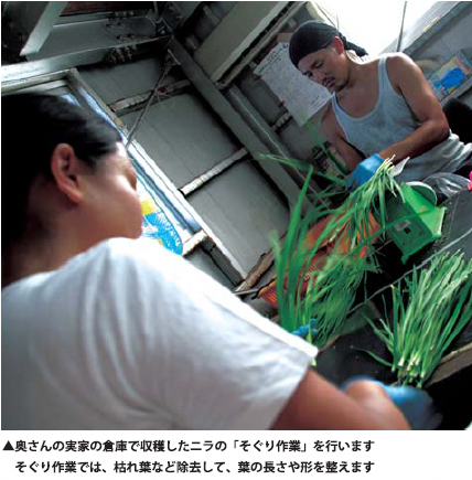 倉庫でにらの「そぐり作業」をしている古川司さんの写真