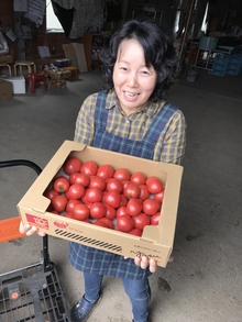 女性が段ボールに入ったフルーツトマトを抱えている写真。