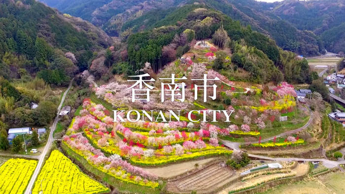 山裾に広がる菜の花畑と桜をバックに「香南市」のタイトルが入った画像