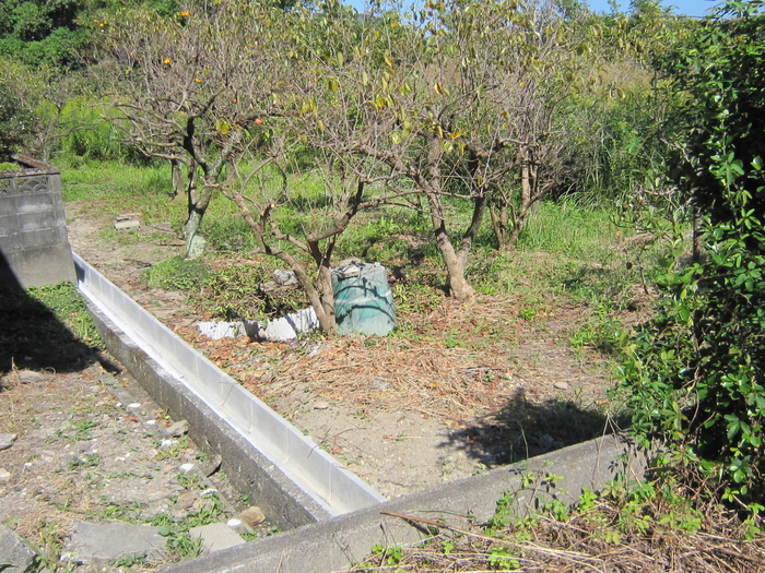 木が生えている付帯農地の田んぼの写真