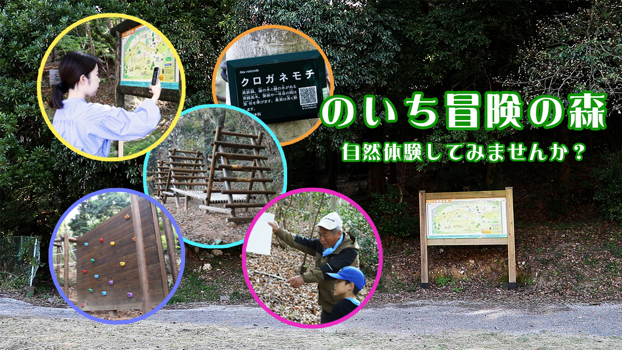 冒険の森PR動画