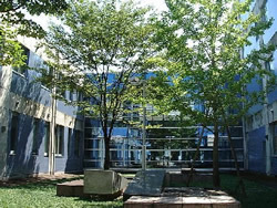 中庭から見る高知職業能力開発短期大学校（ポリテクカレッジ高知）の画像