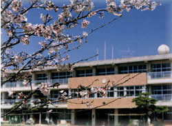 桜の花から覗く夜須小学校の外観画像