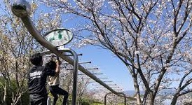 香南市吉川町の桜づつみ公園