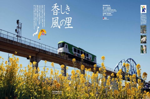 生き生きとした黄色い花の上で、高架橋を走る、クジラをモチーフにした電車の写真
