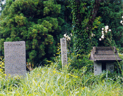 草花と紀夏井邸跡推定地の写真