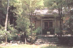 木々と惠日寺の写真