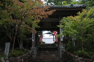 木々と大日寺の写真