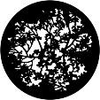 77774 Blossoms