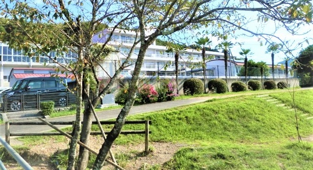 桜の木の奥に見えている校舎の写真