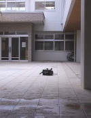 中庭にポツンと一つのランドセルが置かれている写真